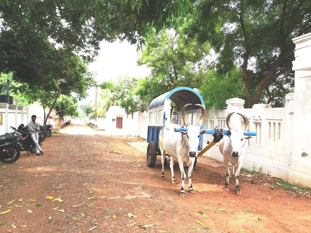 Chettinadu Mansion - An Authentic Heritage Palace Kānādukāttān Buitenkant foto
